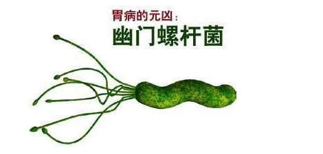 幽门螺旋杆菌最新疗法研究与应用进展